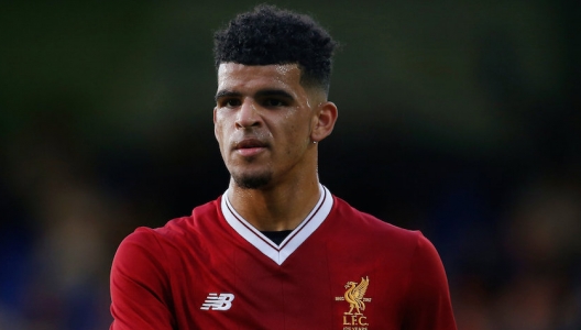 Dominic Solanke - Liverpool 2017