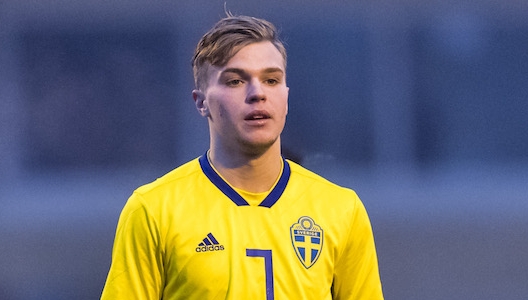 Julian Larsson - Sverige 2019