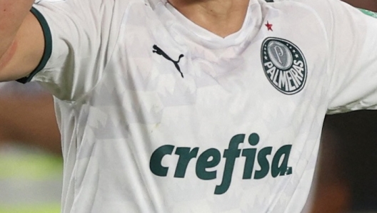 Palmeiras - matchtröja 2022